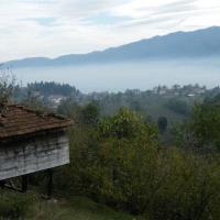 Yeni Yıl Kutlama Mesajlarını Okumak İçin TIKLAYINIZ.